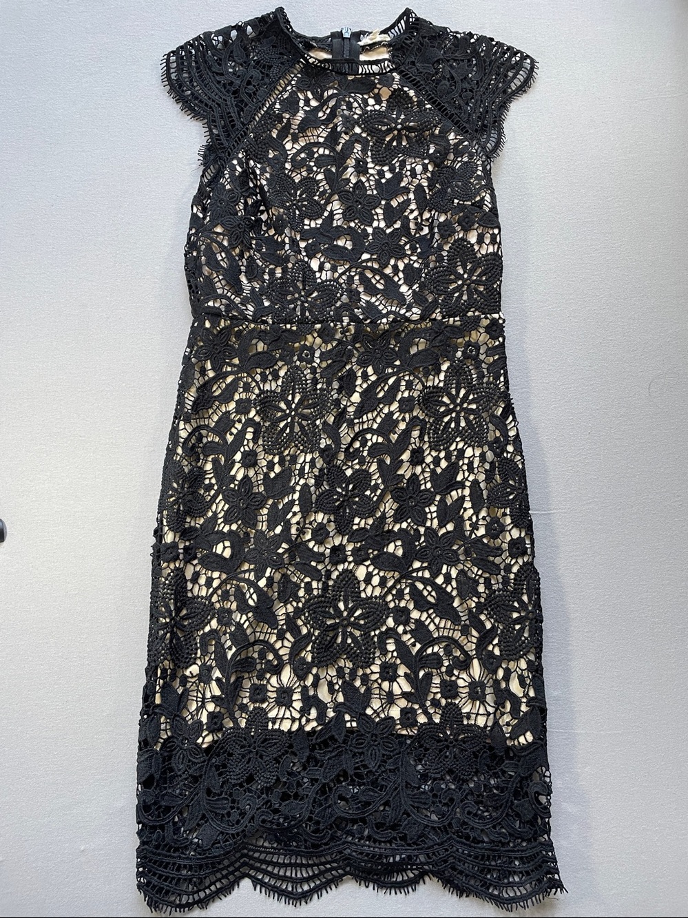 Main Strip Black Lace Midi Dress with Nude Lining
